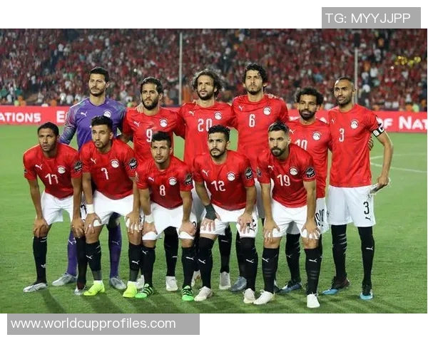 埃及与津巴布韦的足球对决分析及历史交锋回顾