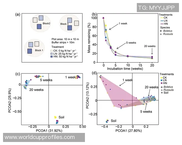 成都滑板队进攻战术解析与滑板热点动态探讨
